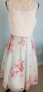 Ted Baker Idola Blossom dress